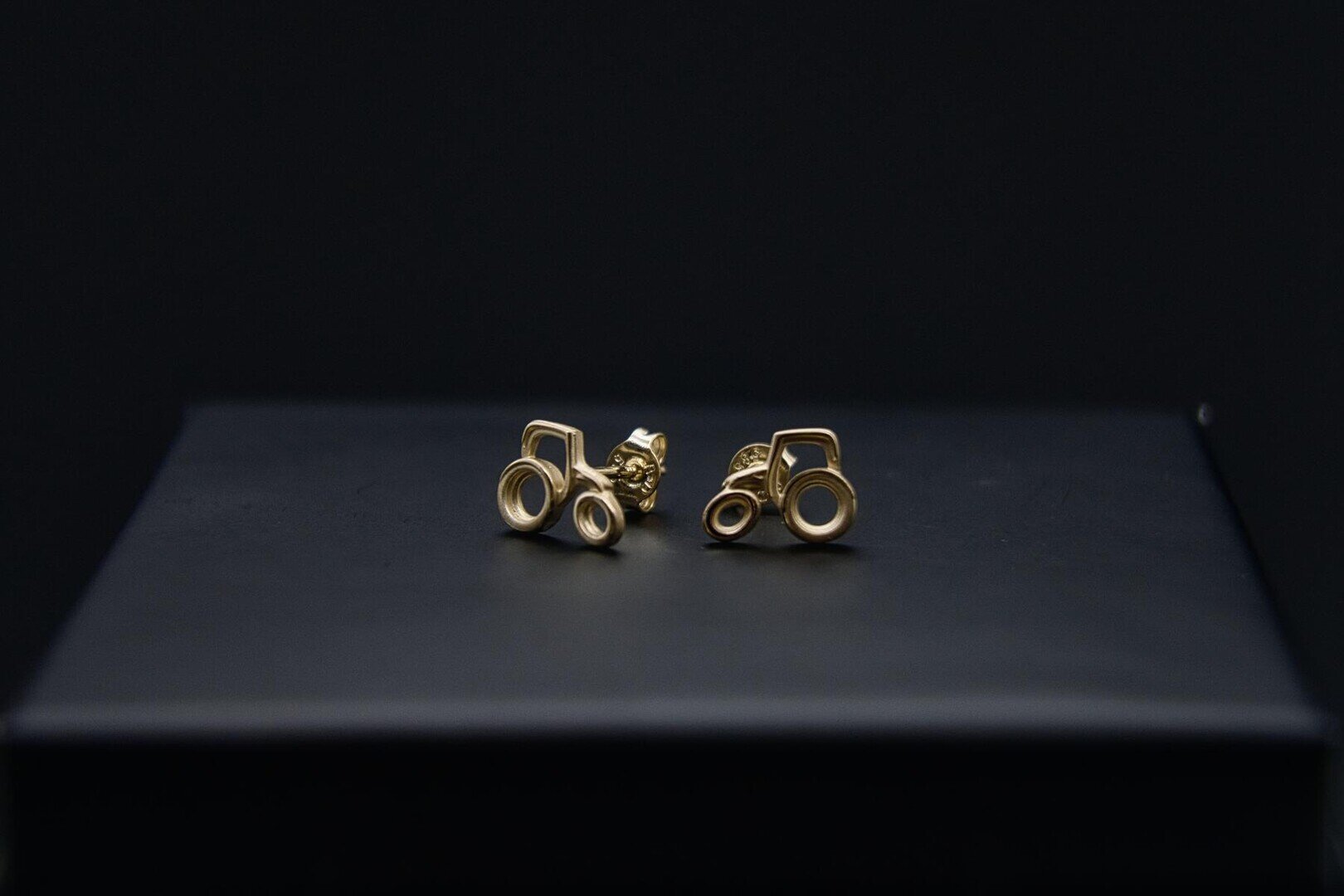LITTLE COUNTRY LOVE "ROYAL Beauty" byHEDI | GOLD-Kollektion | Ohrstecker